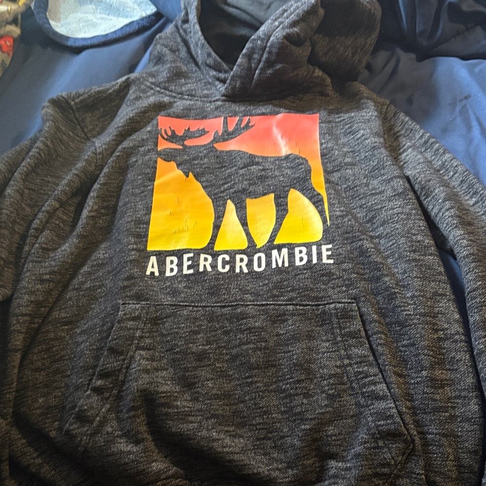 Abercrombie Kids Charcoal & red Hoodie